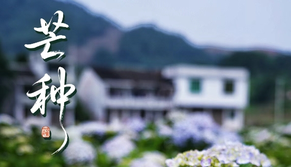 “芒”有所获，“种”有所得