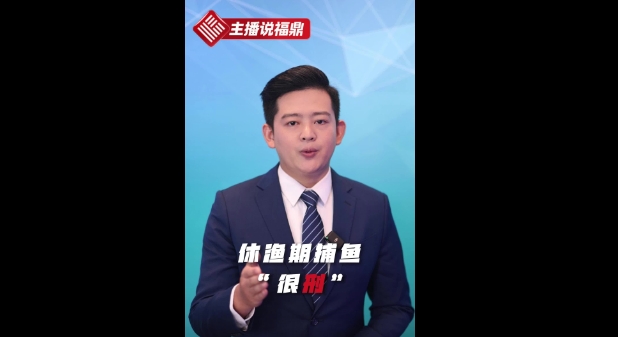 《主播说福鼎》第八期：休渔期捕鱼，“很刑”