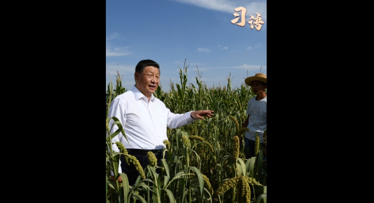 习语丨“中国人要把饭碗端在自己手里”