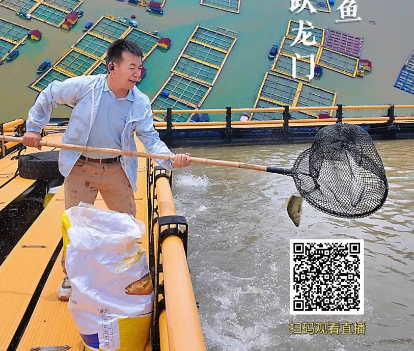 明天9点！央广网与你相约福鼎……