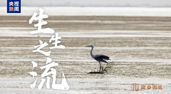 生生之流——水口水电站助力闽江绿色发展