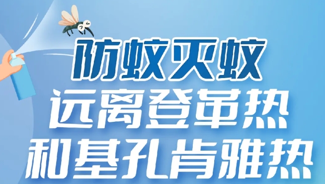 远离登革热和基孔肯雅热！夏季防蚊灭蚊攻略→
