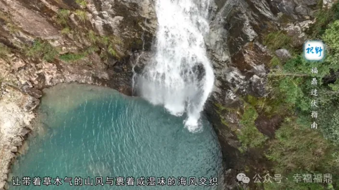 【视野】福鼎过伏指南
