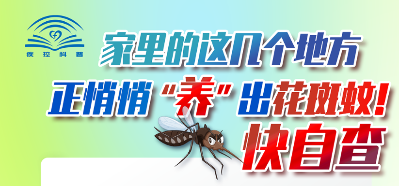 这些地方正悄悄“养”花蚊子！快自查→