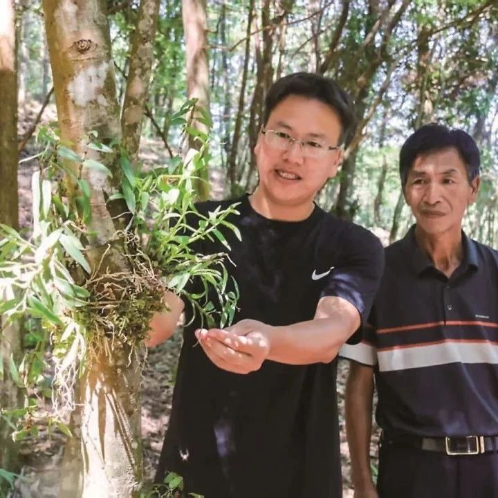 总产值近6亿元，惠及7200户农户！福鼎林下“遍地开花”