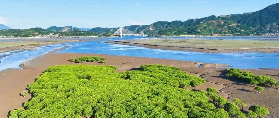 牢记嘱托 谱写篇章丨完工！八尺门内湾活力升级