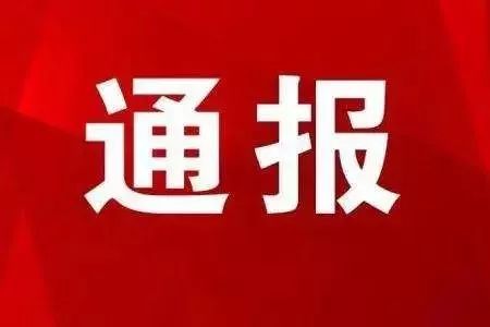 福鼎市第七中学关于巡察整改进展情况的通报