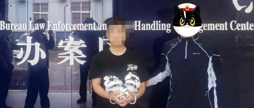 “太可爱了，实在忍不住！” 男子两次闯空门，竟是为了偷布娃娃……