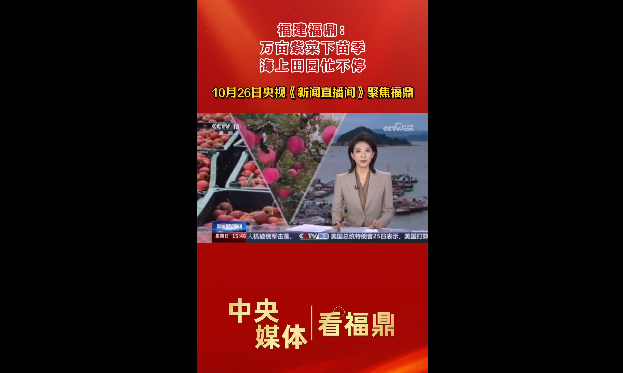 10月26日央视新闻频道《新闻直播间》聚焦福鼎:万亩紫菜下苗季 海上田园忙不停
