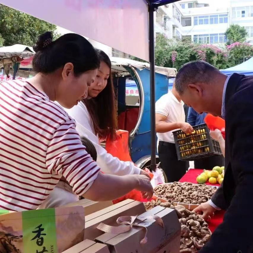 这个周末去哪逛？福鼎周末“共富集市”开市啦！