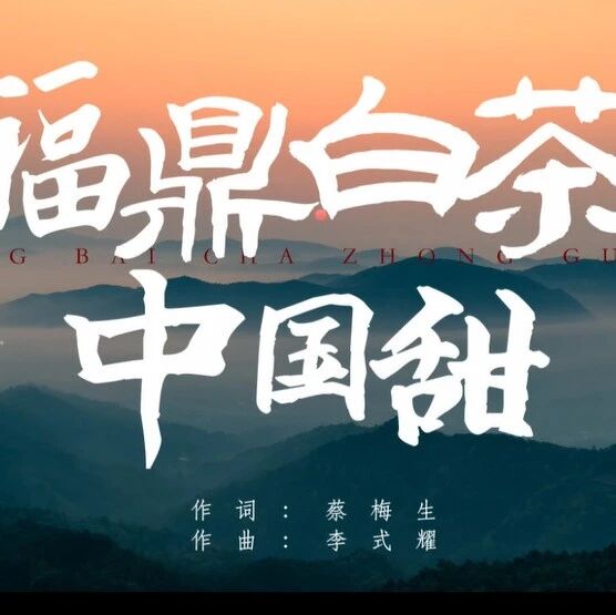 福鼎白茶原创歌曲《福鼎白茶中国甜》抢“鲜”听！