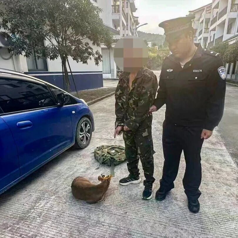 非法狩猎！福鼎一男子被当场抓获！