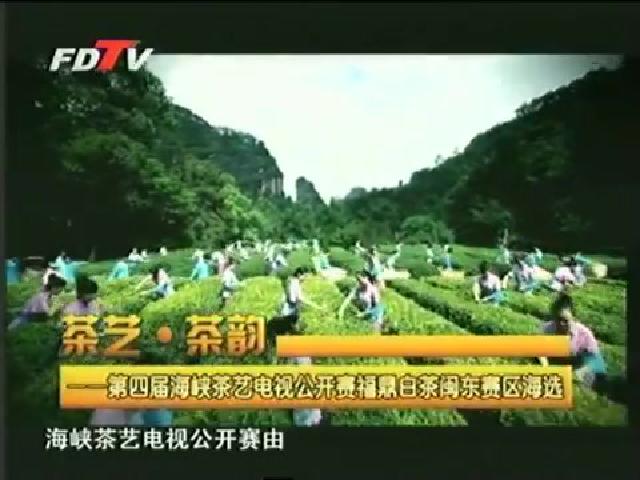 视野专题 第四届海峡茶艺电视公开赛福鼎白茶闽东赛区海选