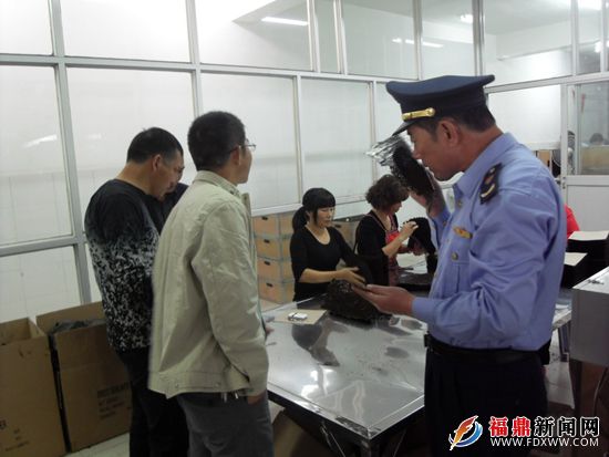 执法人员在海润公司检查01.jpg