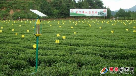 调整大小 DSC08100.JPG