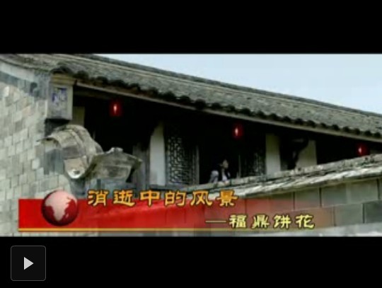 视野专题——消逝中的风景：福鼎饼花