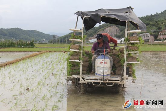 照片 010_副本.jpg