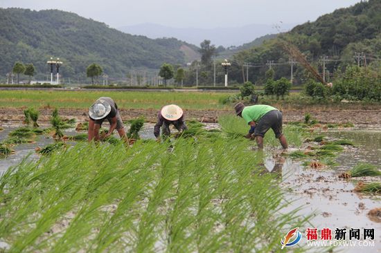 照片 015_副本.jpg