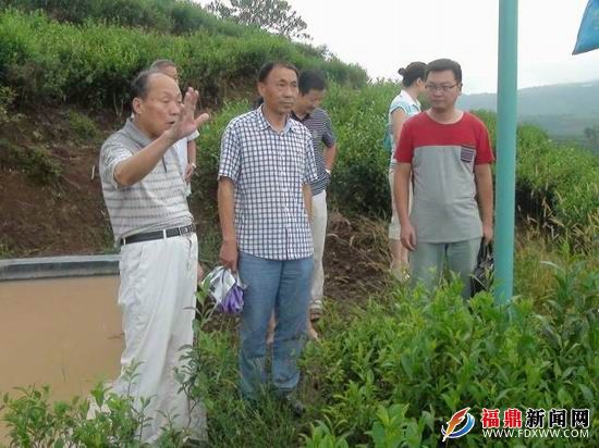 调整大小 DSC02202.JPG