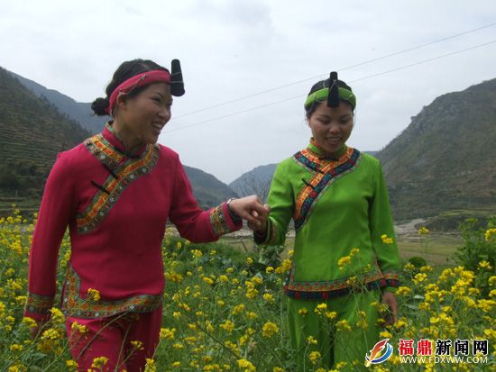 通过加入特种养殖合作社，让搬下山的闽东畲族乡群众携手走新生活（林熙 雷顺号摄）.JPG