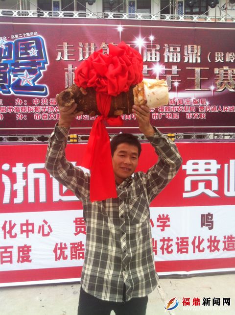 第五届福鼎槟榔芋芋王赛成功举办.jpg