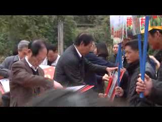 视野第582期福鼎槟榔芋唱出特色戏