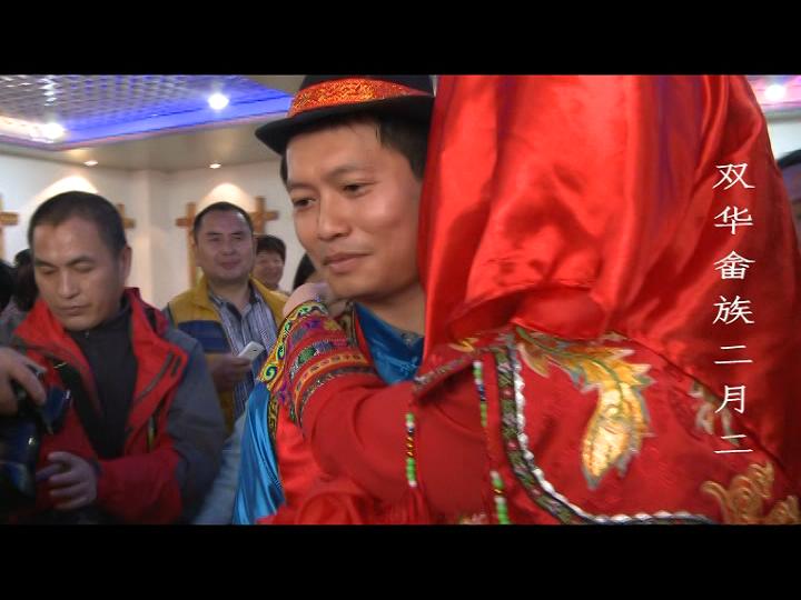 双华二月二