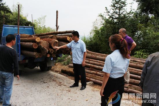 涉林宣传 副本.jpg