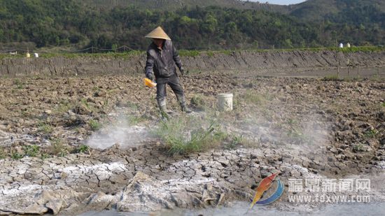 养殖户用石灰粉给池塘消毒.JPG