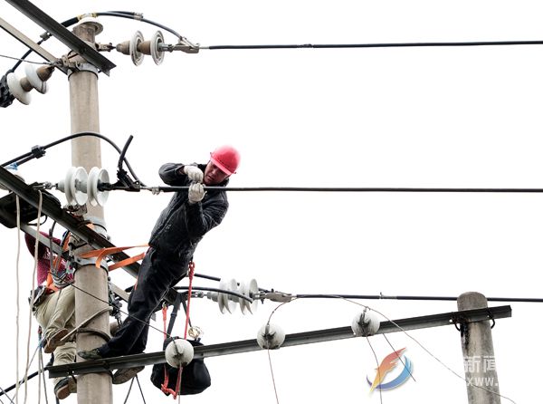 遭雷击线路抢修现场.jpg