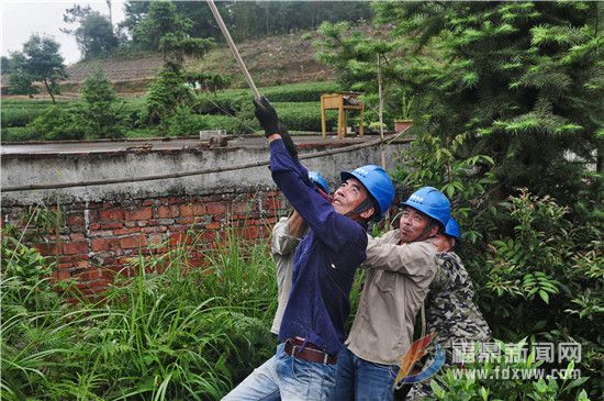 供电工人正在对浮柳分线进行改造 (2).jpg