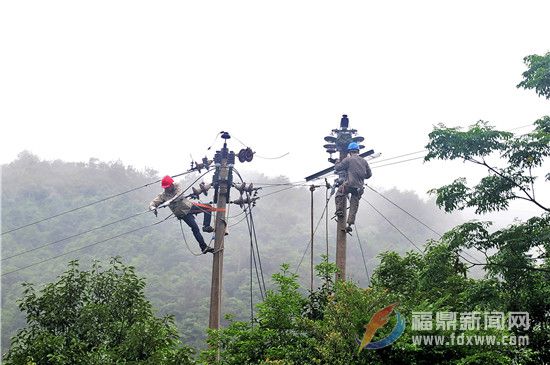 供电工人正在对浮柳分线进行改造 (3).jpg