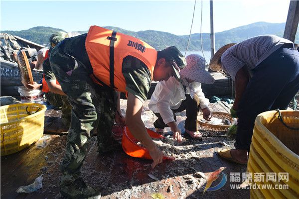 福建海警第一支队三大队官兵帮助渔民抢收渔货.jpg
