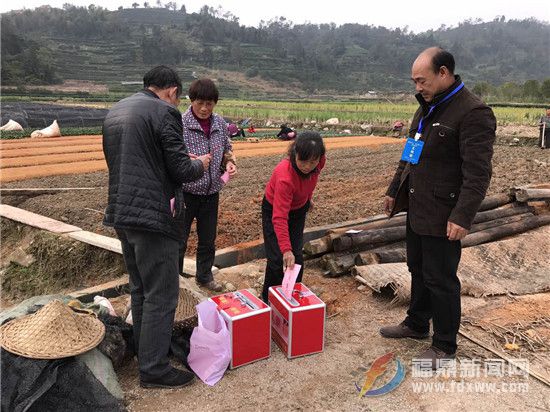 大坪村村干部深入田间 为正在干农活的村民发放选票 .jpg