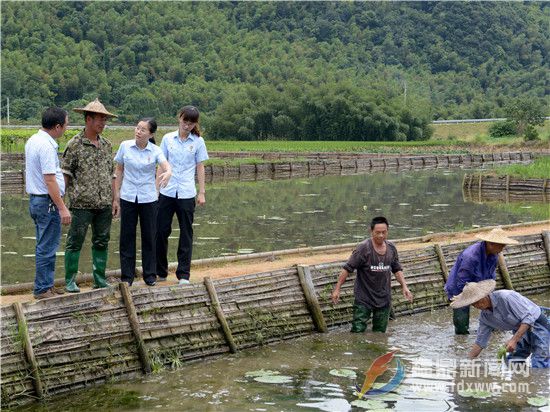 福鼎法院推行司法服务发展的“赤溪模式”，图为2015年9月25日，法院深入实地调查案情.jpg