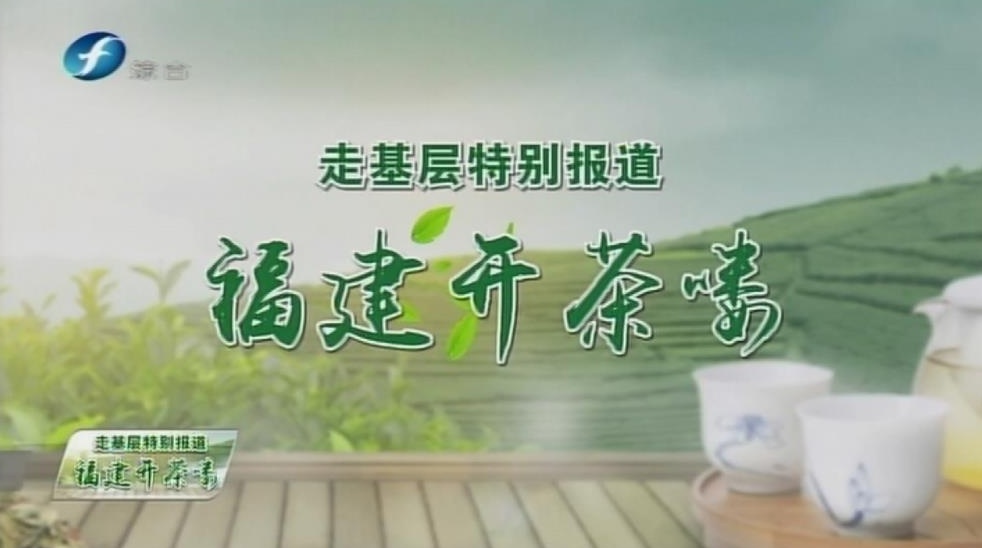 福鼎白茶开茶节