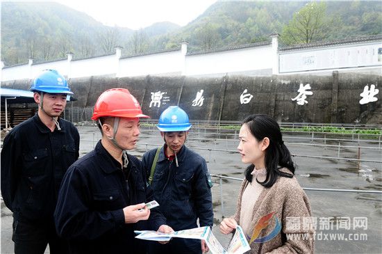 3月29日，国网福建宁德福鼎市供电公司党员服务队走进福建鼎白茶业公司的茶园，与茶企负责人面对面交流，讲解安全生产用电知识，发放便民服务联系卡（钟国欢）.jpg