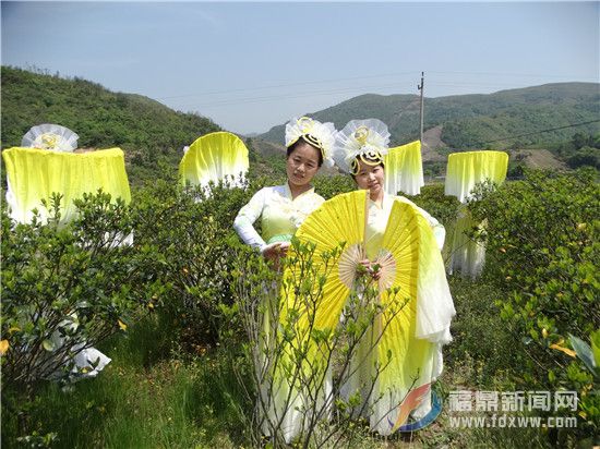 栀子情深舞蹈 (8).jpg