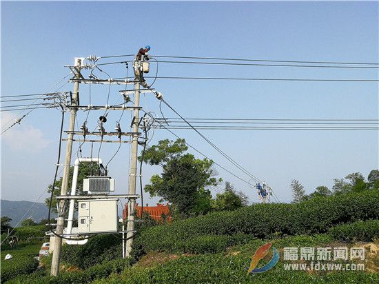 8月15日,国网福建宁德福鼎市供电公司施工人员头顶烈日,忙着对10千伏吴克就分支线开展绝缘化改造。_副本.jpg
