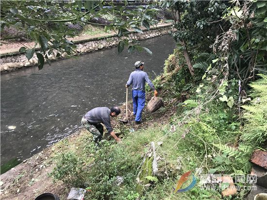 桐山河长制 (3).jpg