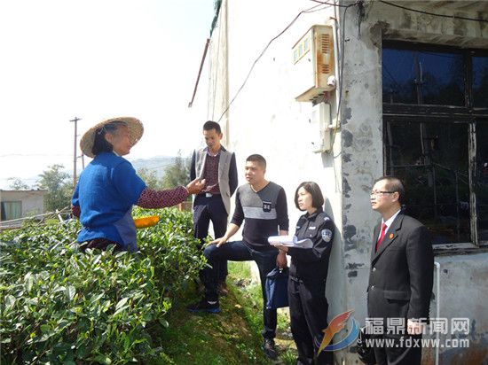 图为福鼎法院太姥山法庭法官到辖区内茶农家中了解收集群众对茶产业政策扶持的新需求.jpg