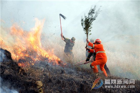 嵛山边防：军民合力灭山火3.jpg