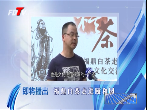 《视野》专题预告