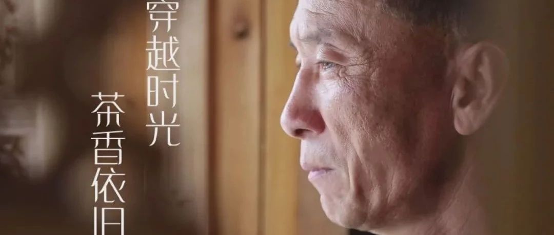 【视野】穿越时光，茶香依旧