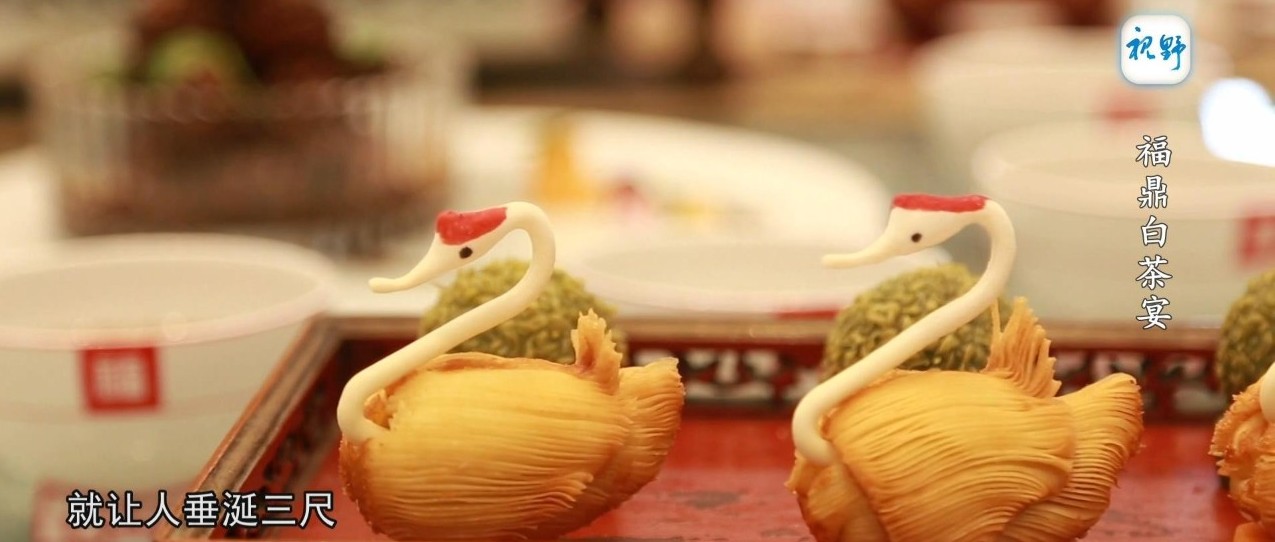 【视野】福鼎白茶宴