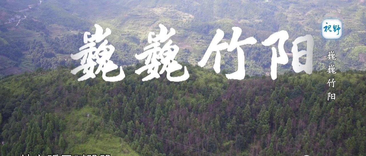 【视野】巍巍竹阳