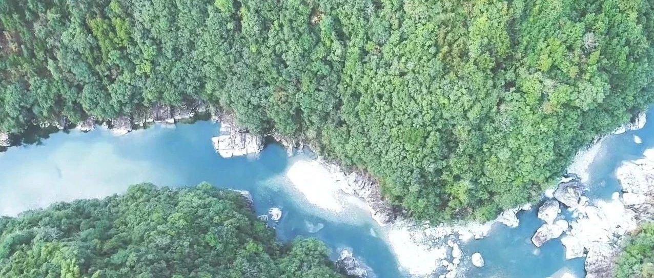 【视野】赤溪村的幸福嬗变