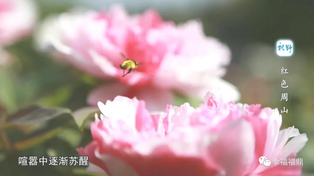 【视野】周山那一段激情燃烧的红色岁月