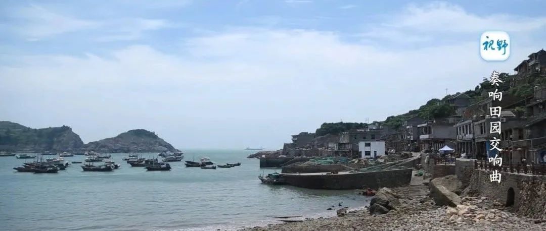 【视野】奏响田园交响曲