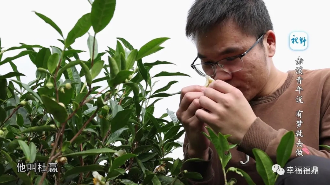 【视野】赤溪青年说  有梦就去做